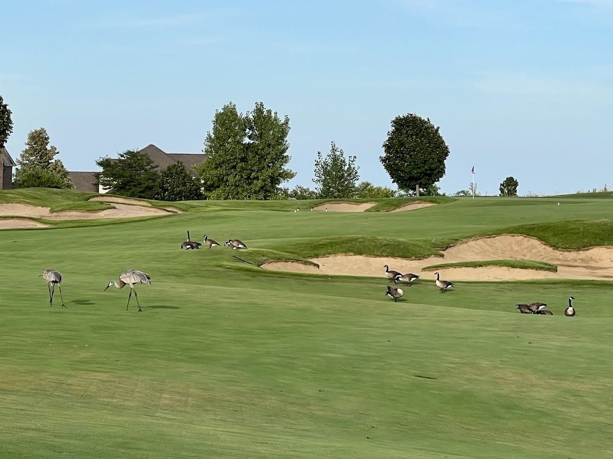 Hawthorn Woods Country Club golf course