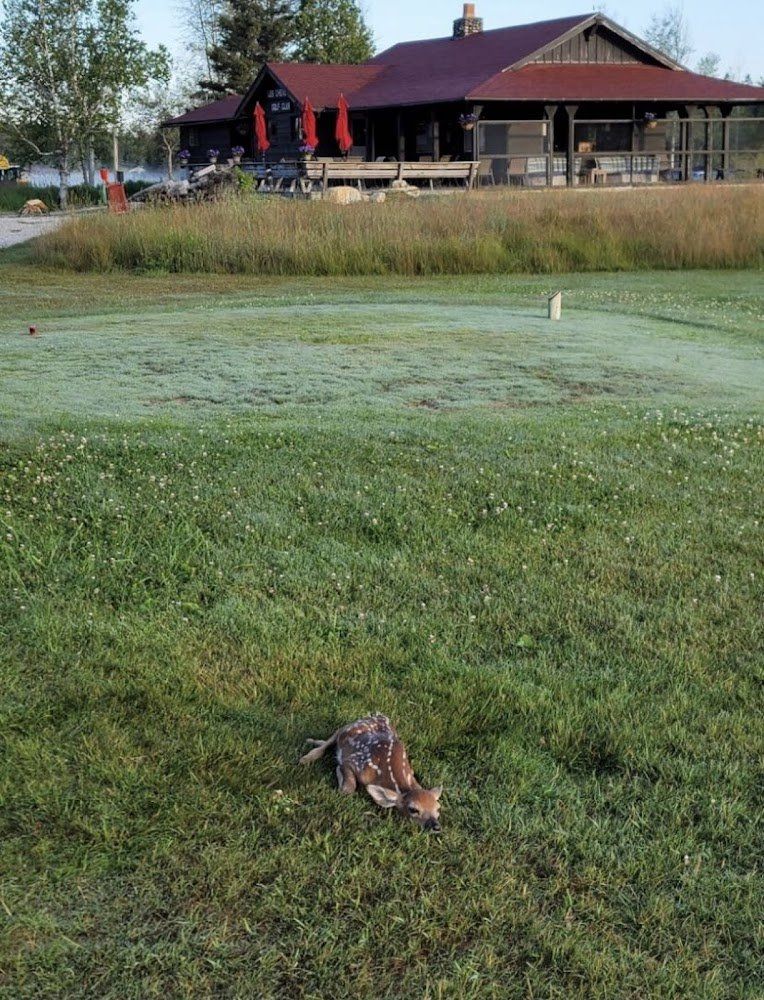 Les Cheneaux Golf Club golf course