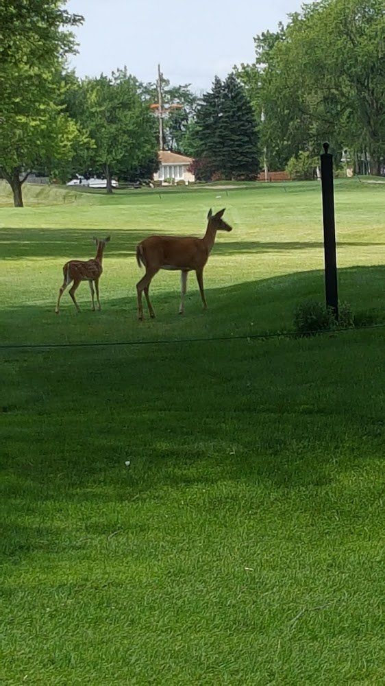 Lincolnshire Country Club golf course
