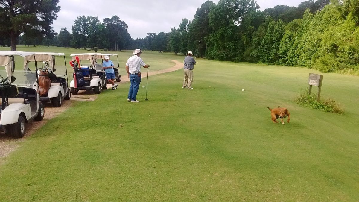 Meadowlake Golf and Country Club golf course