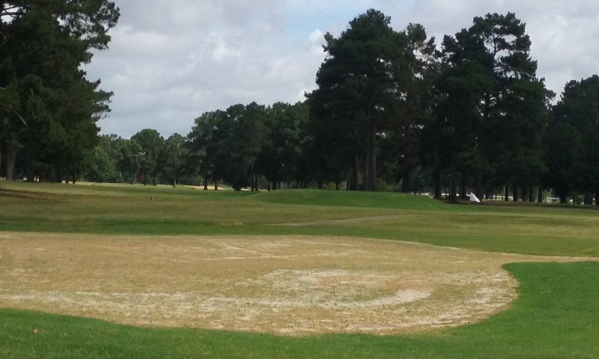 Perry Creek Golf & Racquet Clb golf course