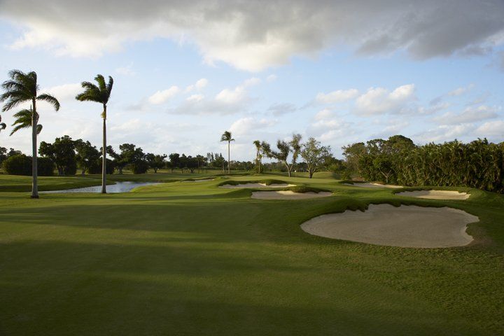 Pine Tree Golf Club golf course