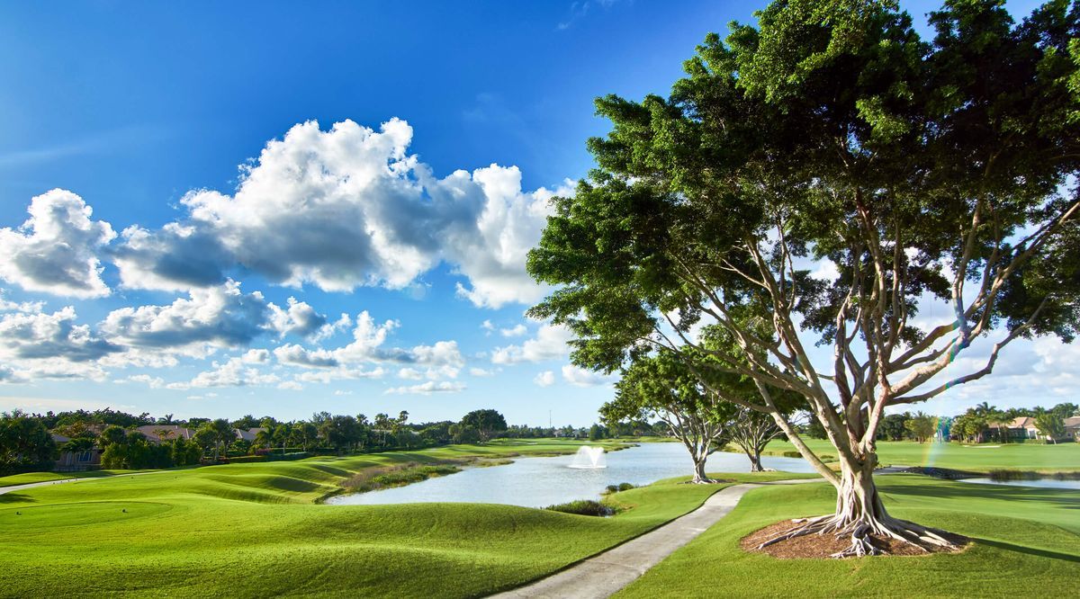 The Club at Ibis golf course