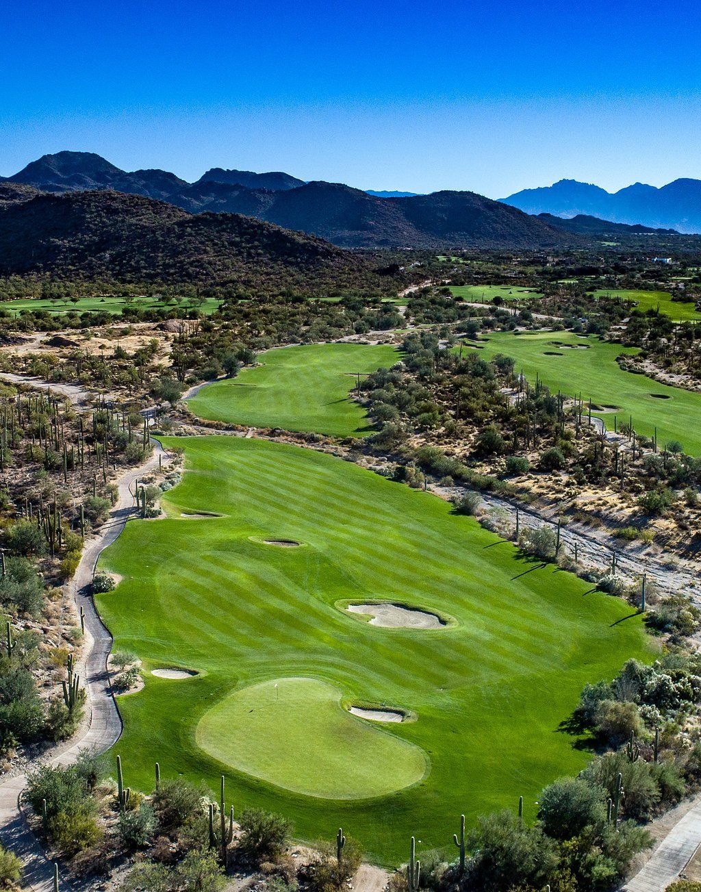 The Golf Club at Dove Mountain golf course