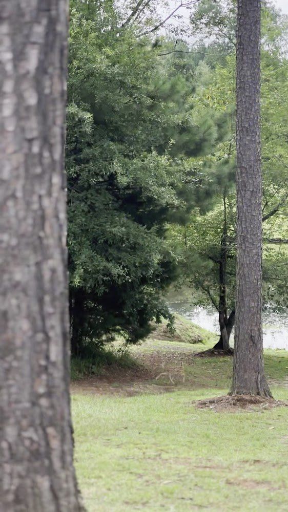 Warren Country Club golf course